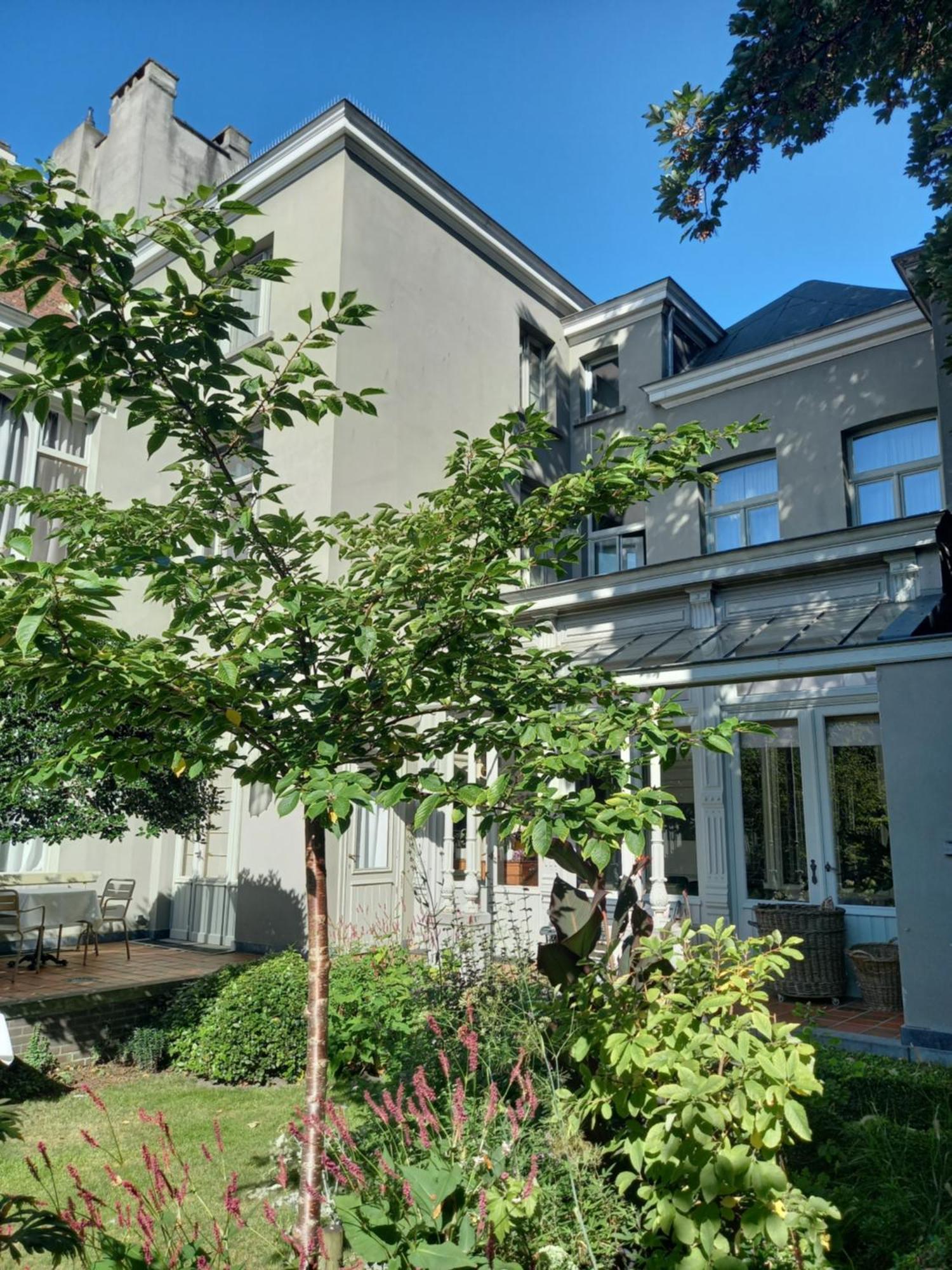 Huis Dujardin Bed&Breakfast Anvers Extérieur photo
