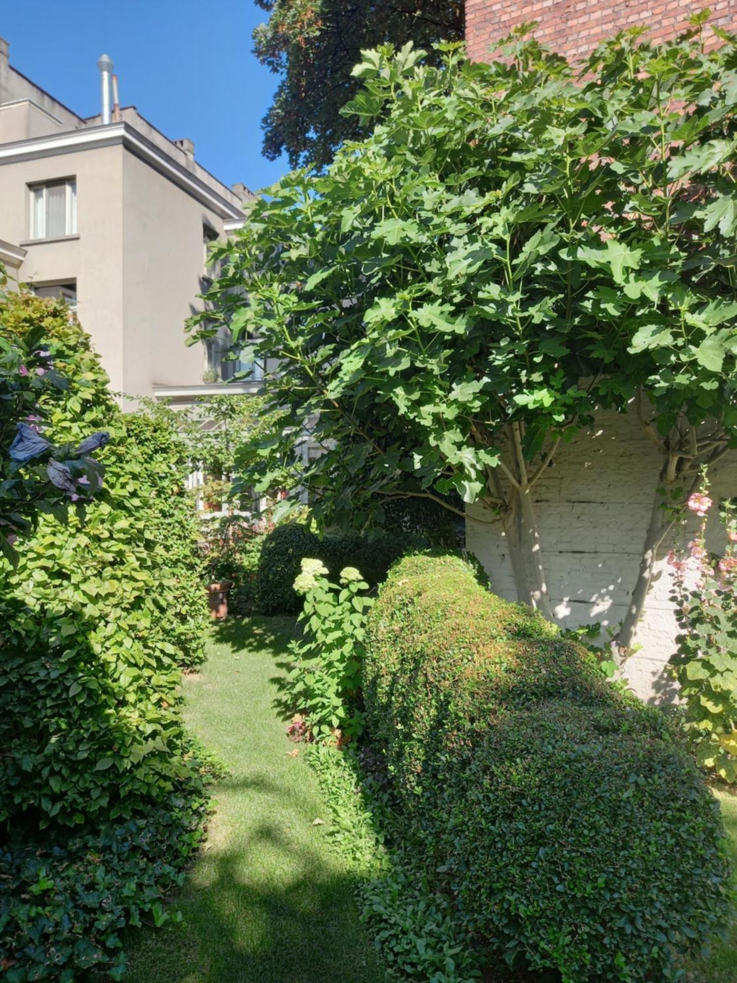Huis Dujardin Bed&Breakfast Anvers Extérieur photo