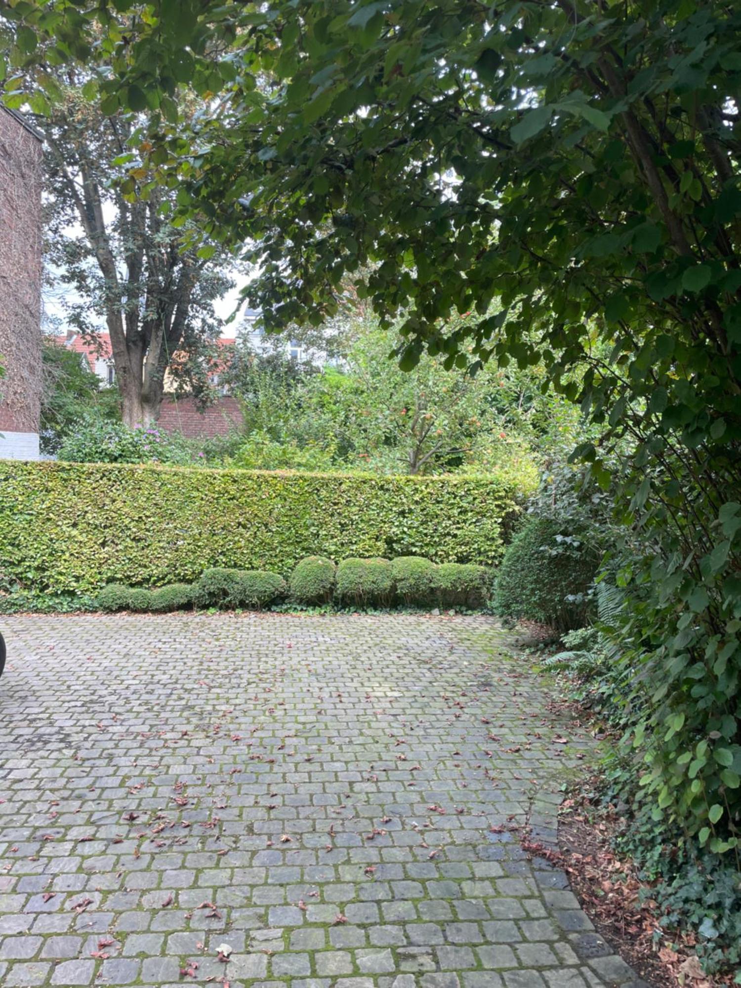 Huis Dujardin Bed&Breakfast Anvers Extérieur photo